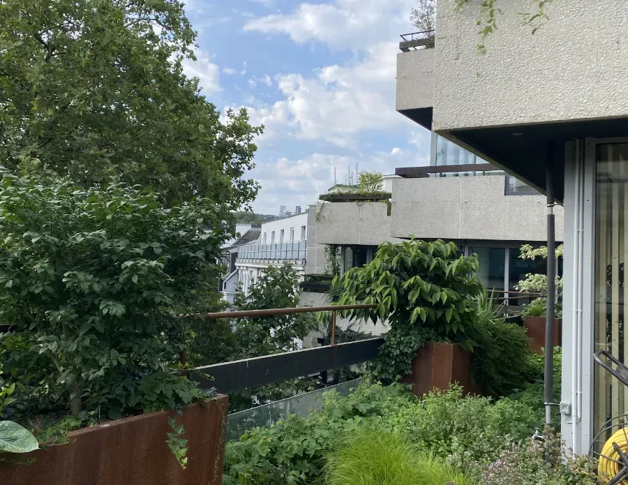 Begrünte Terrasse mit Pflanzen, Betonbalkonen und urbanem Ausblick.