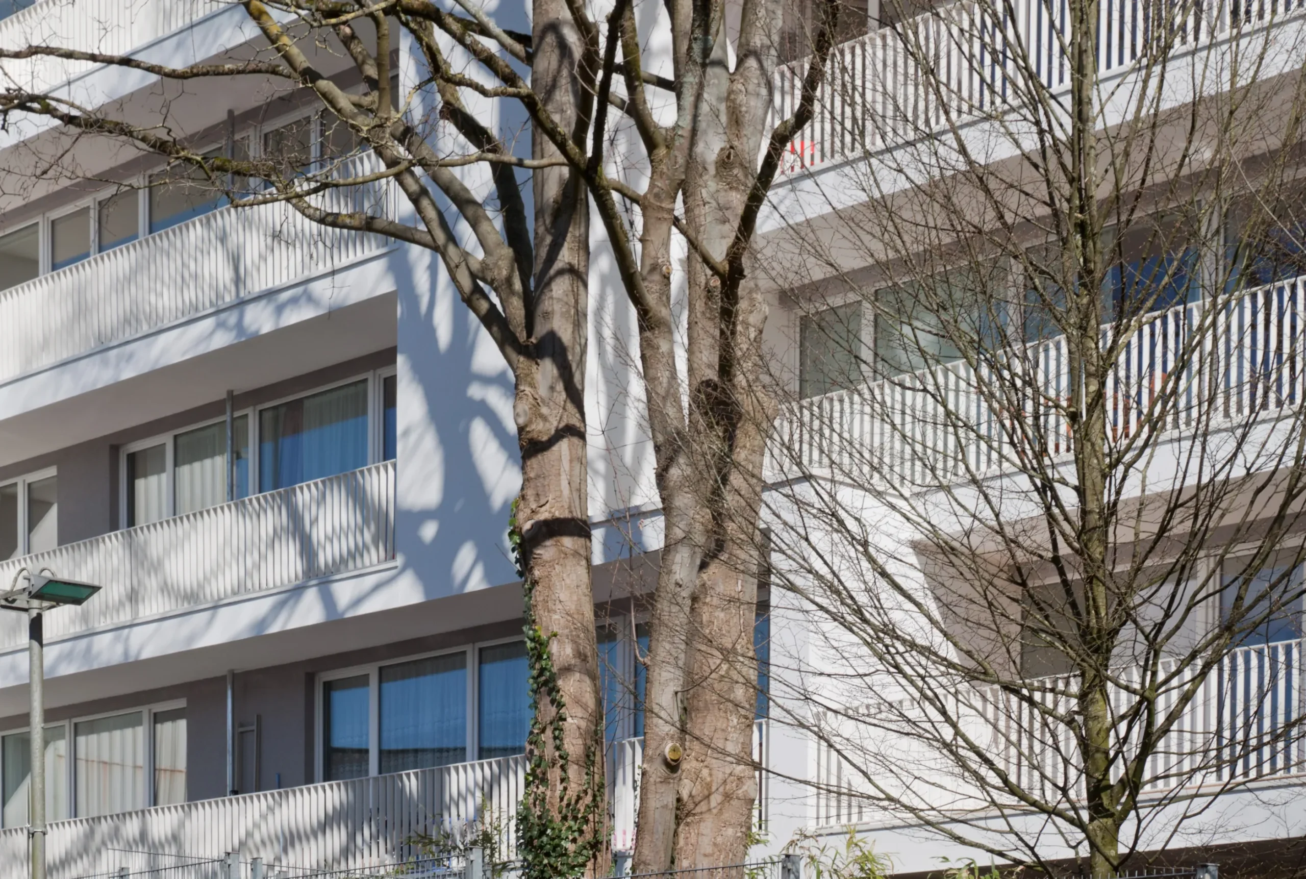 Moderne Wohnhausfassade mit Balkonen hinter kahlen Bäumen im Winterlicht.