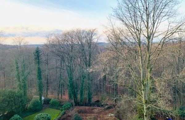 Gepflegter Garten mit Blick auf Wald an der Oberen Lichtenplatzer Straße.