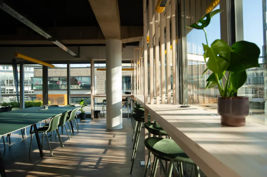 Helle Studio-One-Küche mit Coworking-Tischen, Fensterbar, Holztheke und grünen Stühlen.
